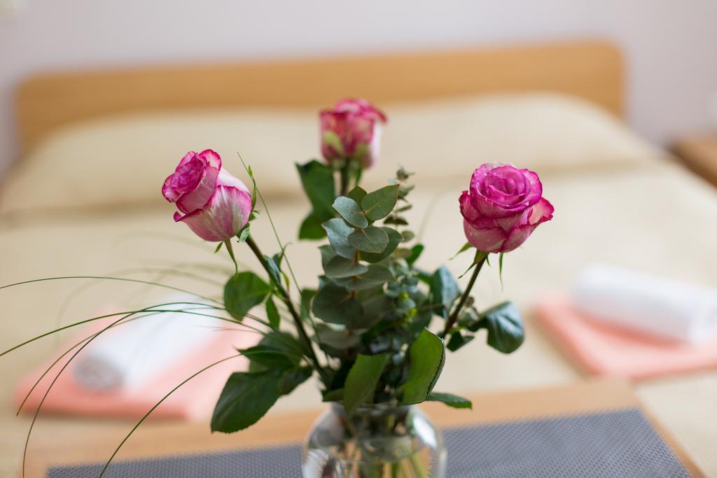 Nadija Studio Apartmani Krk Town Exteriör bild